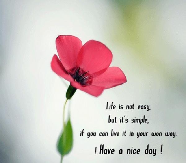 have_a_nice_day_quotes7