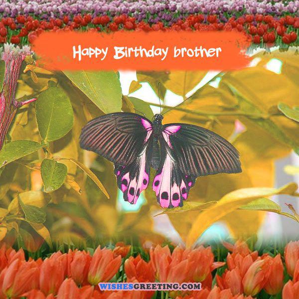 happy-birthday-images-cards-pictures18