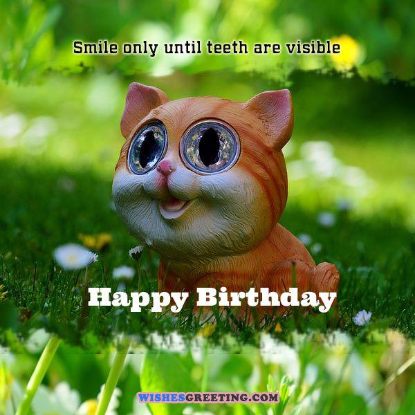 funny-birthday-wishes2