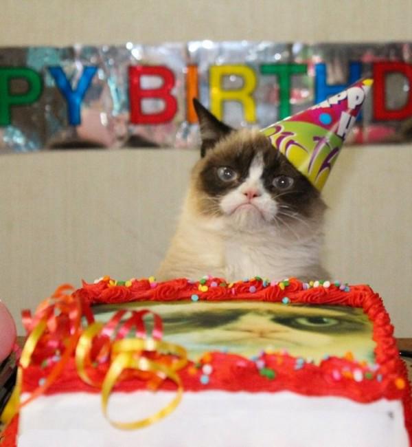 happy-birthday-cat
