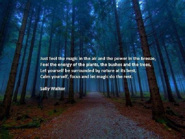 Nature_Quotes3