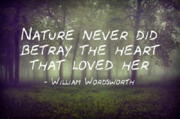 Nature_Quotes5