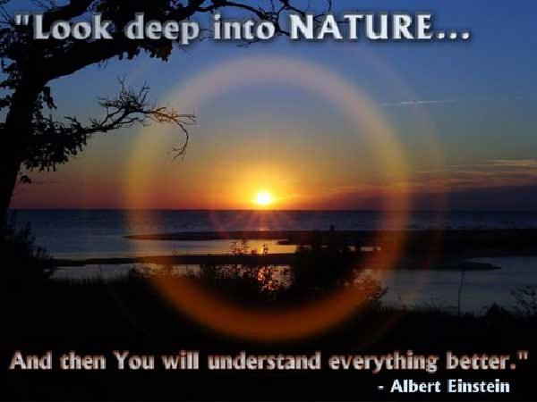 Nature_Quotes6