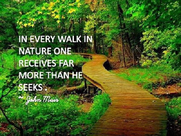 Nature_Quotes7