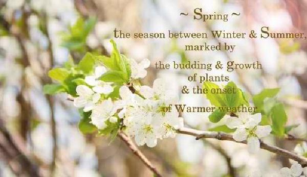 Spring_Quotes4