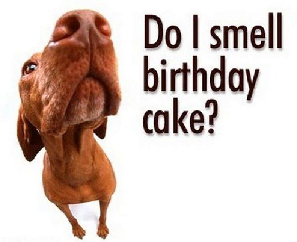 Humorous_Birthday_Wishes1