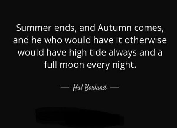 end_of_summer_quotes7