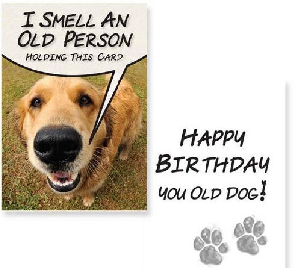 birthday_wishes_for_a_dog_lover5