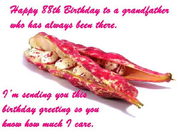 happy_88th_birthday_wishes5