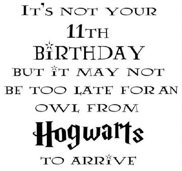 happy_birthday_harry_potter1